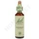 Bach Flower Remedies for Animals - Hornbeam